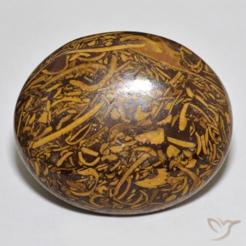 66.56ct 天然 マルチカラー 碧玉, 楕円形, オペーク