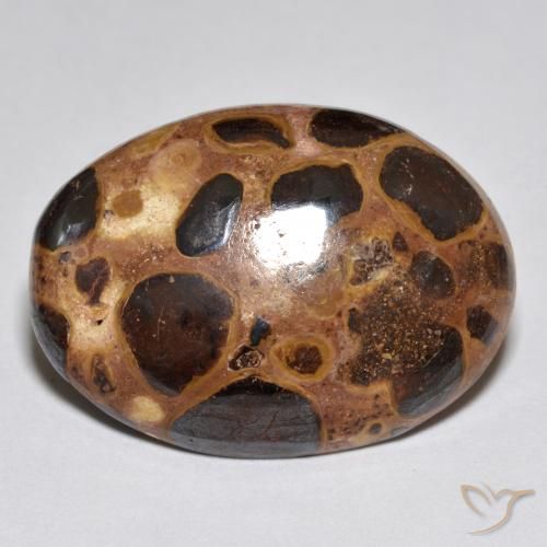 15.52ct 天然 マルチカラー 碧玉, 楕円形, オペーク