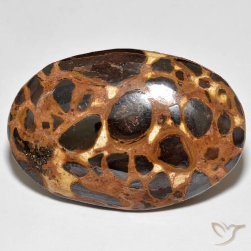 24.47ct 天然 マルチカラー 碧玉, 楕円形, オペーク