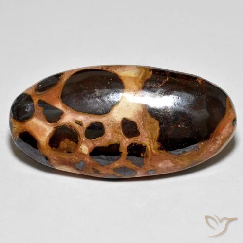19.60ct 天然 マルチカラー 碧玉, 楕円形, オペーク