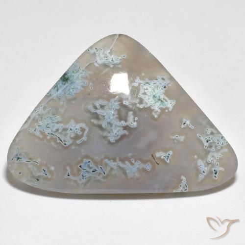 33.55ct 天然 マルチカラー 碧玉, トリリオン, 半透明