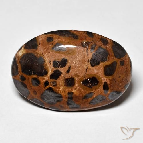 21.84ct 天然 マルチカラー 碧玉, 楕円形, オペーク
