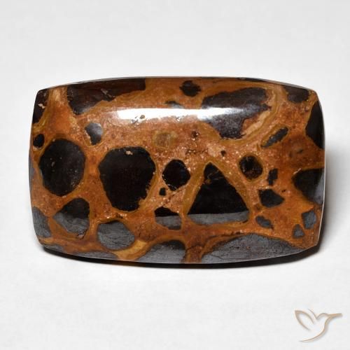 25.23ct 天然 マルチカラー 碧玉, クッション, オペーク
