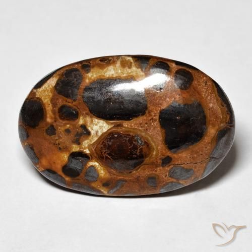 19.43ct 天然 マルチカラー 碧玉, 楕円形, オペーク
