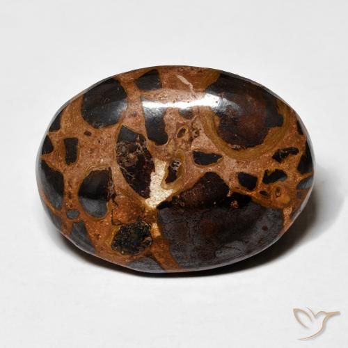 19.16ct 天然 マルチカラー 碧玉, 楕円形, オペーク