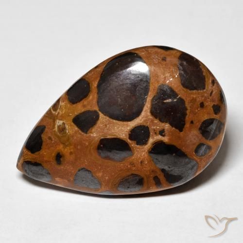 24.78ct 天然 マルチカラー 碧玉, 洋梨の形, オペーク
