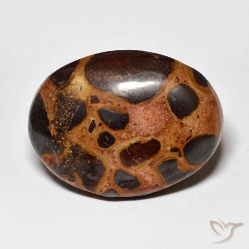 14.26ct 天然 マルチカラー 碧玉, 楕円形, オペーク
