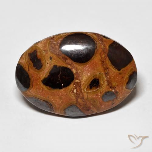 16.68ct 天然 マルチカラー 碧玉, 楕円形, オペーク