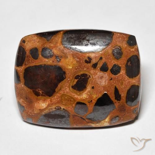 19.46ct 天然 マルチカラー 碧玉, クッション, オペーク