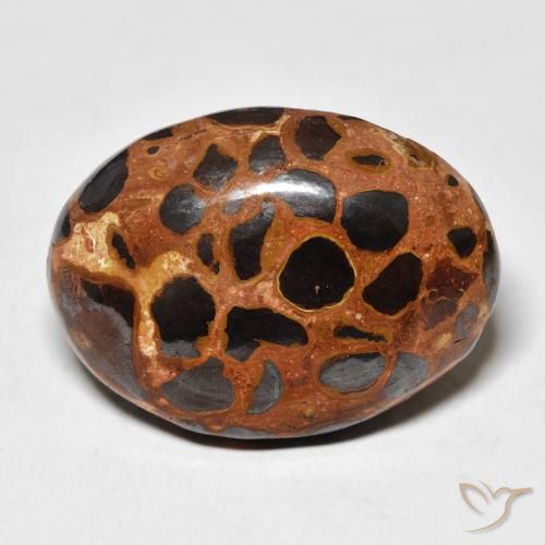25.43ct 天然 マルチカラー 碧玉, 楕円形, オペーク