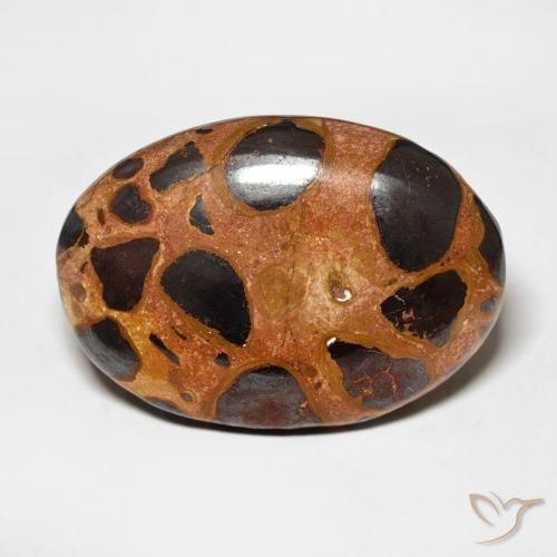 17.65ct 天然 マルチカラー 碧玉, 楕円形, オペーク