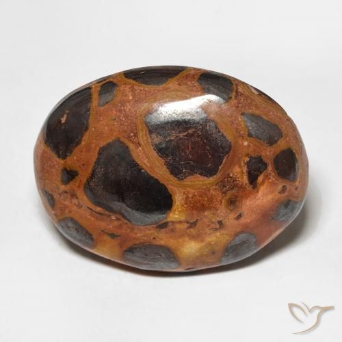 17.65ct 天然 マルチカラー 碧玉, 楕円形, オペーク