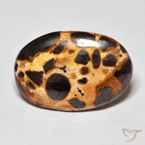 16.03ct 天然 マルチカラー 碧玉, 楕円形, オペーク