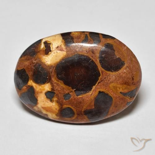14.20ct 天然 マルチカラー 碧玉, 楕円形, オペーク