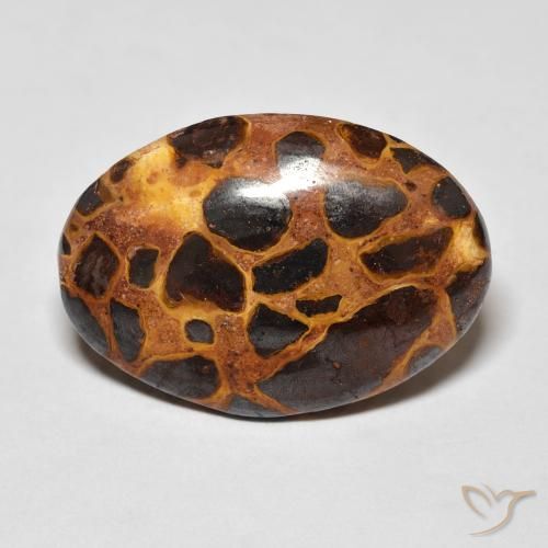 13.57ct 天然 マルチカラー 碧玉, 楕円形, オペーク
