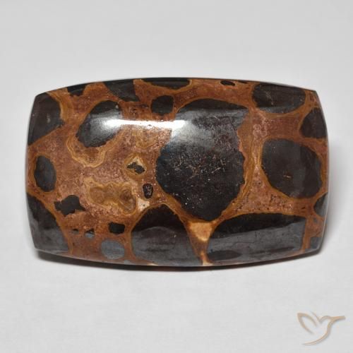 32.40ct 天然 マルチカラー 碧玉, クッション, オペーク