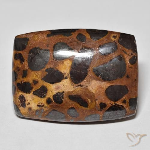 42.68ct 天然 マルチカラー 碧玉, クッション, オペーク