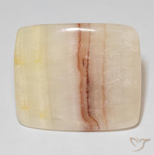 65.51ct 天然 マルチカラー 碧玉, クッション, オペーク