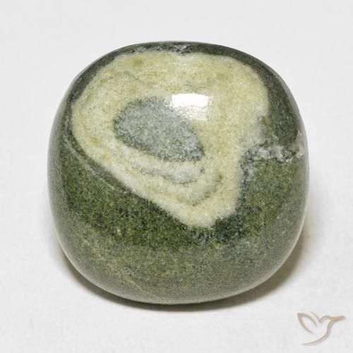 25.13ct 天然 マルチカラー 碧玉, クッション, オペーク