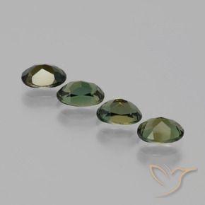 Shop natural 1.90ct ダークブラウン 穀物ルピン gems, 楕円形, from スリランカ at GemSelect. In stock, global shipping!