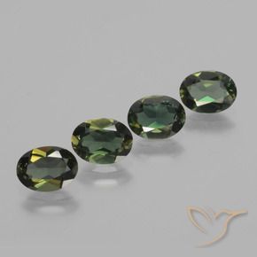 Shop natural 2.76ct ダークブラウン 穀物ルピン gems, 楕円形, from スリランカ at GemSelect. In stock, global shipping!