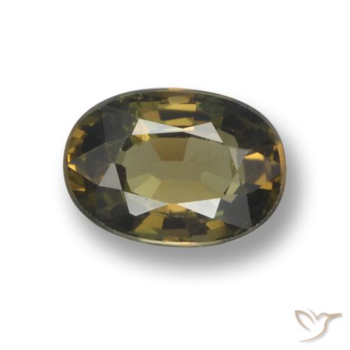 1.75ct 天然 ミディアムブラウン 穀物ルピン, 楕円形, VVS