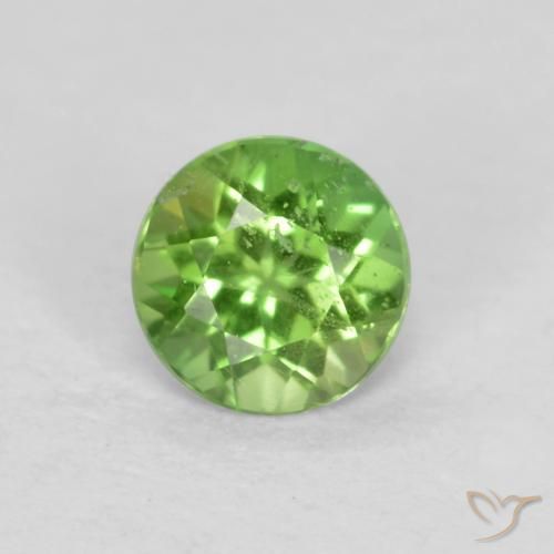 0.19ct 天然 ミディアムグリーン 穀物ルピン, ラウンド, SI