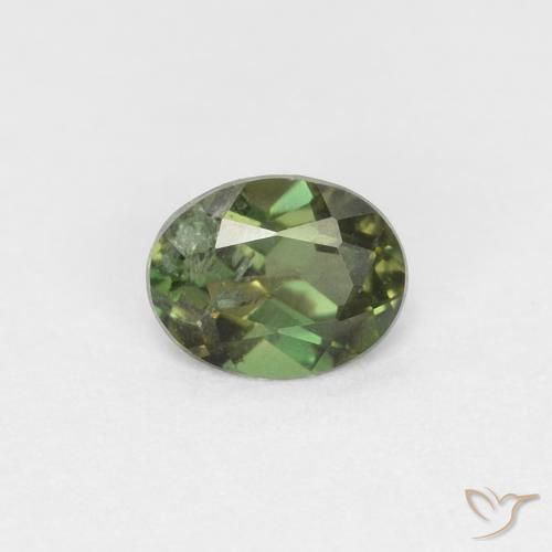 0.28ct 天然 フォレストグリーン 穀物ルピン, 楕円形, VS-SI