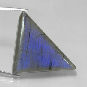 42.05カラットの天然マルチカラーラブラドライト、トリリオン、半透明