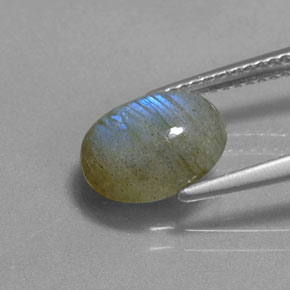 2.62カラットの天然マルチカラーラブラドライト（10.4×8.2 mm・オーバルカット）