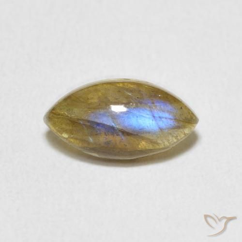 1.44ct 天然 マルチカラー ラブラドライト, マーキーズ, 半透明
