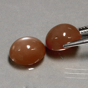 カラットの天然モカオレンジムーンストーン（10.1×8.2 mm・オーバルカット）
