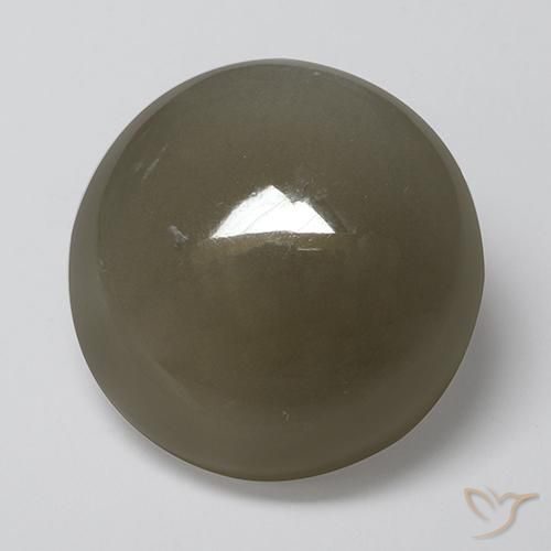 16.89ct 天然 グレーブラウン ムーンストーン, ラウンド, 半透明
