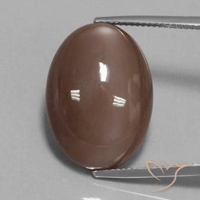 23.78ct 天然 ミディアムブラウン ムーンストーン, 楕円形, オペーク