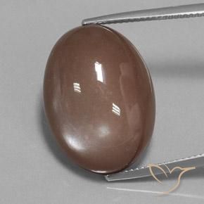 22.65ct 天然 ミディアムブラウン ムーンストーン, 楕円形, オペーク