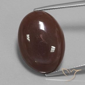 21.08ct 天然 ミディアムブラウン ムーンストーン, 楕円形, オペーク