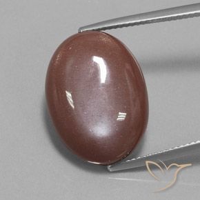 19.73ct 天然 シナモンブラウン ムーンストーン, 楕円形, オペーク