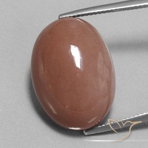25.17ct 天然 ウォームブラウン ムーンストーン, 楕円形, オペーク