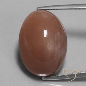 25.38ct 天然 ブラウン ムーンストーン, 楕円形, オペーク