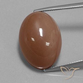 30.83ct 天然 ブラウン ムーンストーン, 楕円形, オペーク