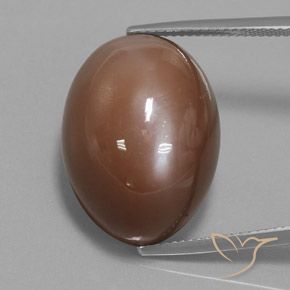 31.30ct 天然 ウォームブラウン ムーンストーン, 楕円形, オペーク