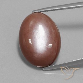 18.74ct 天然 シナモンブラウン ムーンストーン, 楕円形, オペーク