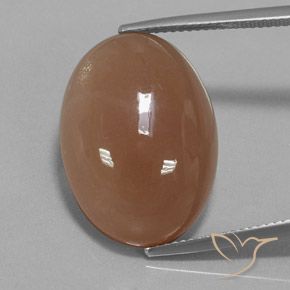 19.57ct 天然 ミディアムブラウン ムーンストーン, 楕円形, 半透明