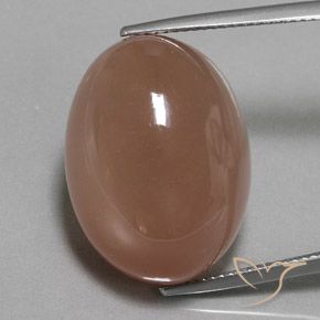 29.74ct 天然 ブラウン ムーンストーン, 楕円形, オペーク