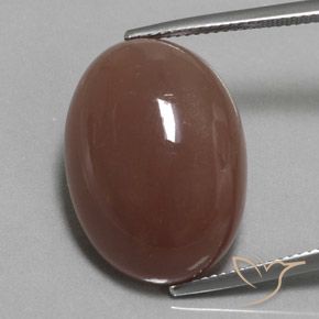 23.37ct 天然 ミディアムブラウン ムーンストーン, 楕円形, オペーク