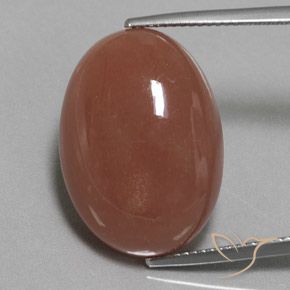 22.59ct 天然 ミディアムブラウン ムーンストーン, 楕円形, オペーク