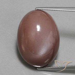 23.55ct 天然 ミディアムブラウン ムーンストーン, 楕円形, オペーク