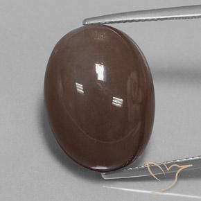 20.93ct 天然 ミディアムブラウン ムーンストーン, 楕円形, オペーク