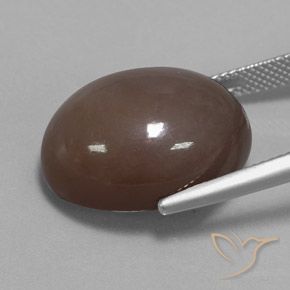 21.72カラットの天然チョコレートブラウンムーンストーン、楕円形、オペーク