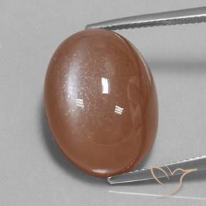 24.75ct 天然 ウォームブラウン ムーンストーン, 楕円形, オペーク